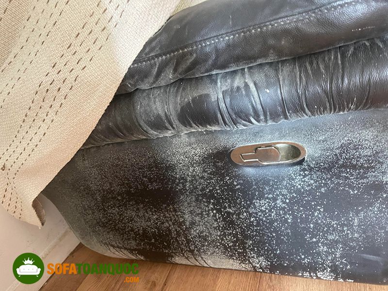 ghế sofa bị ướt